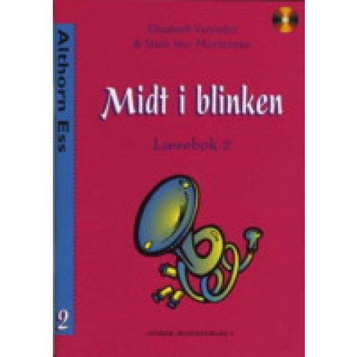 MidtiBlinkennr2Althorn-31