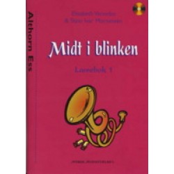 MidtiBlinkennr1Althorn-20