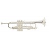 VincentBachStradivarius180S37MLBtrompet-01