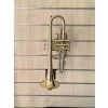 BrugtBachStradivariusBcornetModel181L25-02